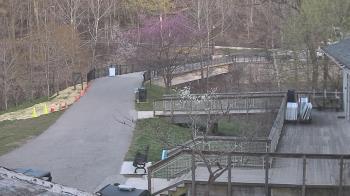 Weather camera view of Lake Roland Nature Council.