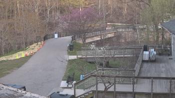 Weather camera view of Lake Roland Nature Council.