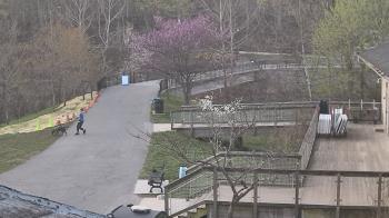 Weather camera view of Lake Roland Nature Council.