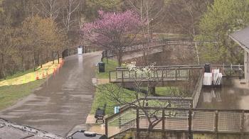 Weather camera view of Lake Roland Nature Council.