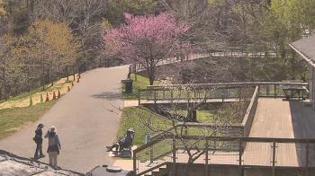 Weather camera view of Lake Roland Nature Council.