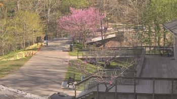 Weather camera view of Lake Roland Nature Council.