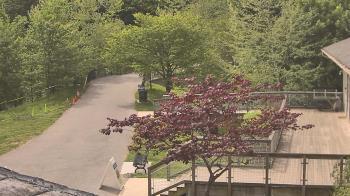 Weather camera view of Lake Roland Nature Council.