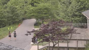 Weather camera view of Lake Roland Nature Council.