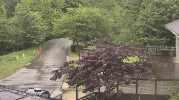 Weather camera view of Lake Roland Nature Council.