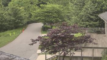 Weather camera view of Lake Roland Nature Council.