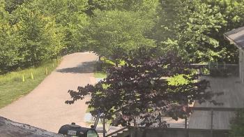 Weather camera view of Lake Roland Nature Council.