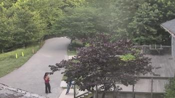 Weather camera view of Lake Roland Nature Council.