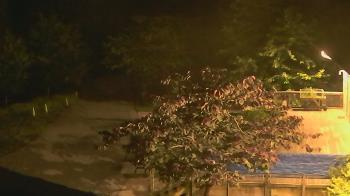 Weather camera view of Lake Roland Nature Council.