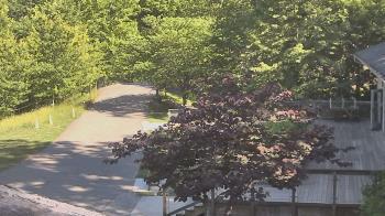 Weather camera view of Lake Roland Nature Council.