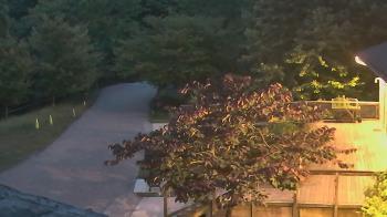 Weather camera view of Lake Roland Nature Council.