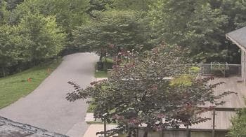 Weather camera view of Lake Roland Nature Council.
