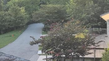 Weather camera view of Lake Roland Nature Council.