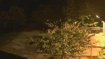 Weather camera view of Lake Roland Nature Council.