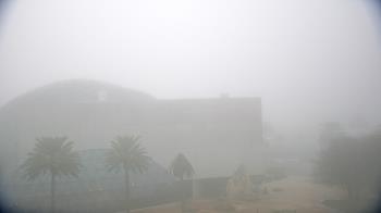 Weather camera view of Mahaffey Theater.