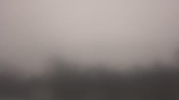 Weather camera view of Lincoln Elementary School.