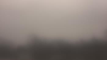 Weather camera view of Lincoln Elementary School.