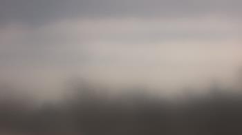 Weather camera view of Lincoln Elementary School.