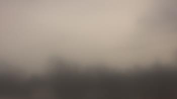 Weather camera view of Lincoln Elementary School.