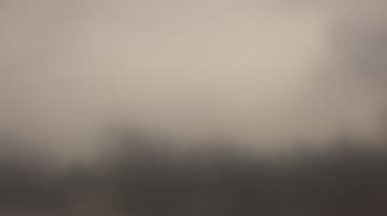 Weather camera view of Lincoln Elementary School.