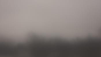 Weather camera view of Lincoln Elementary School.