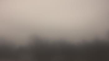 Weather camera view of Lincoln Elementary School.