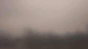 Weather camera view of Lincoln Elementary School.