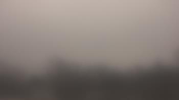 Weather camera view of Lincoln Elementary School.