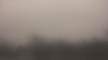 Weather camera view of Lincoln Elementary School.