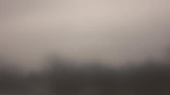 Weather camera view of Lincoln Elementary School.