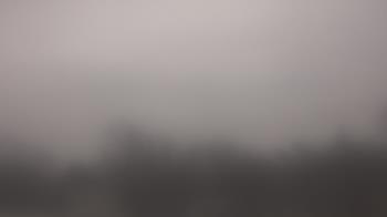 Weather camera view of Lincoln Elementary School.