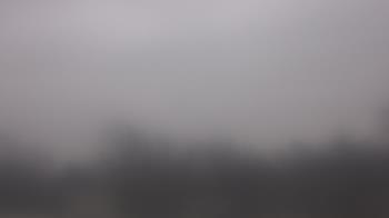 Weather camera view of Lincoln Elementary School.