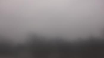 Weather camera view of Lincoln Elementary School.