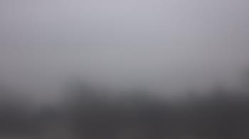 Weather camera view of Lincoln Elementary School.