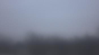 Weather camera view of Lincoln Elementary School.