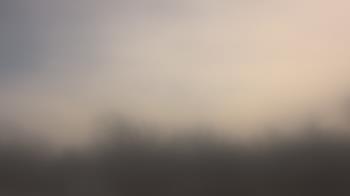 Weather camera view of Lincoln Elementary School.