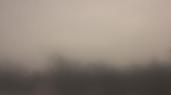 Weather camera view of Lincoln Elementary School.