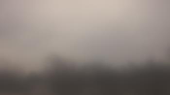 Weather camera view of Lincoln Elementary School.