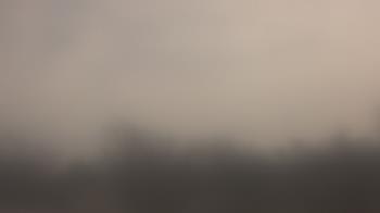 Weather camera view of Lincoln Elementary School.