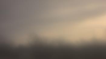 Weather camera view of Lincoln Elementary School.