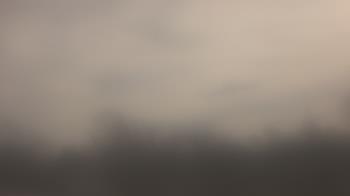 Weather camera view of Lincoln Elementary School.