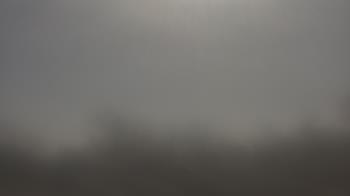 Weather camera view of Lincoln Elementary School.