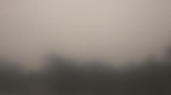 Weather camera view of Lincoln Elementary School.