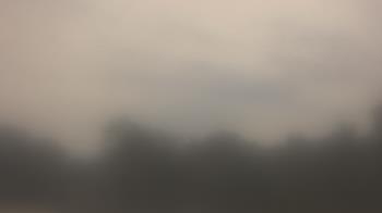 Weather camera view of Lincoln Elementary School.