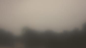 Weather camera view of Lincoln Elementary School.