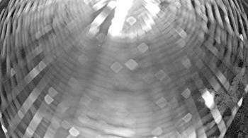 Weather camera view of Zoo Miami.