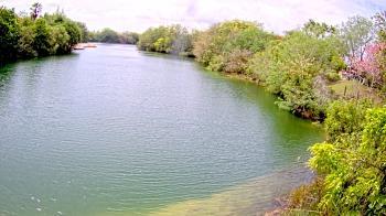 Weather camera view of Zoo Miami.