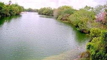 Weather camera view of Zoo Miami.