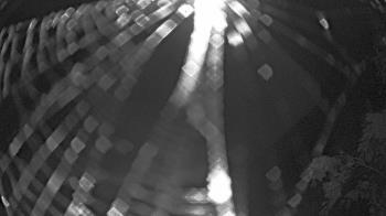 Weather camera view of Zoo Miami.