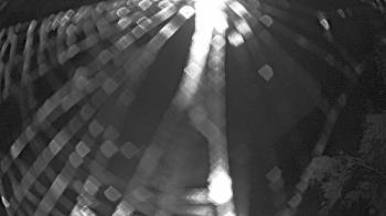 Weather camera view of Zoo Miami.